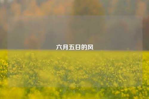 六月五日的风