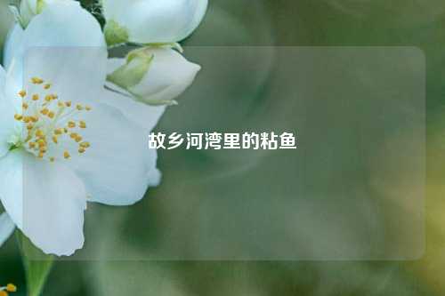 故乡河湾里的粘鱼