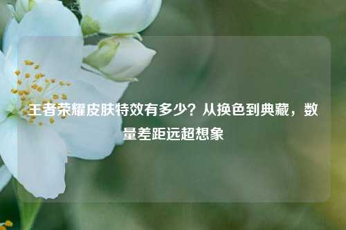 王者荣耀皮肤特效有多少？从换色到典藏，数量差距远超想象