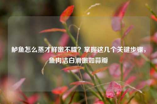 鲈鱼怎么蒸才鲜嫩不腥？掌握这几个关键步骤，鱼肉洁白滑嫩如蒜瓣