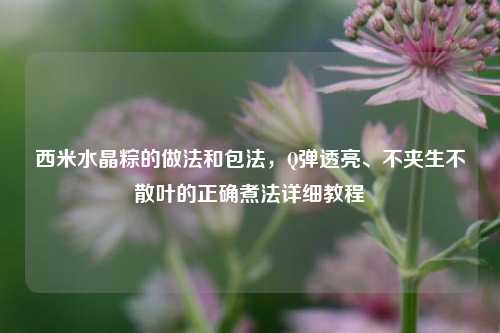 西米水晶粽的做法和包法，Q弹透亮、不夹生不散叶的正确煮法详细教程