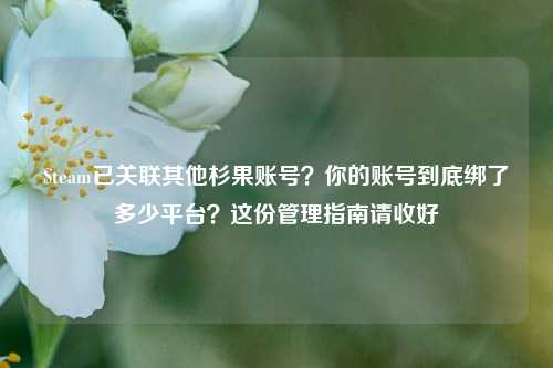Steam已关联其他杉果账号？你的账号到底绑了多少平台？这份管理指南请收好