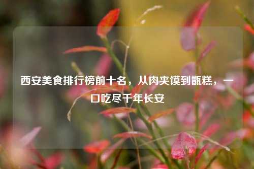 西安美食排行榜前十名，从肉夹馍到甑糕，一口吃尽千年长安