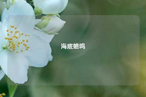 海底蟾鸣