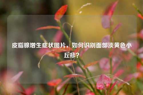 皮脂腺增生症状图片，如何识别面部淡黄色小丘疹？