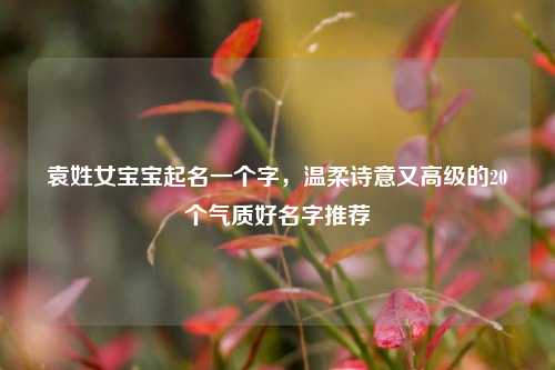 袁姓女宝宝起名一个字，温柔诗意又高级的20个气质好名字推荐
