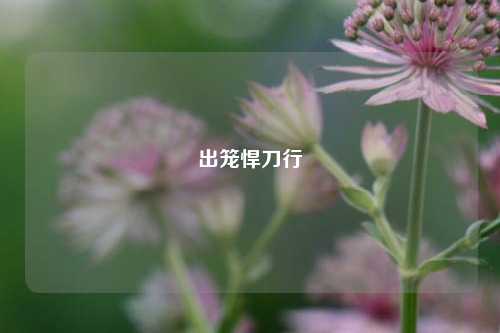 出笼悍刀行
