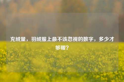充绒量，羽绒服上最不该忽视的数字，多少才够暖？