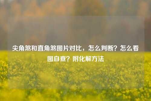 尖角煞和直角煞图片对比，怎么判断？怎么看图自查？附化解方法