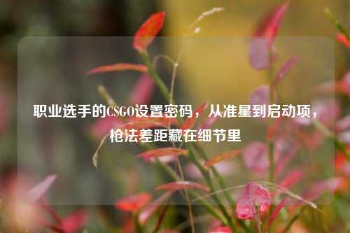 职业选手的CSGO设置密码，从准星到启动项，枪法差距藏在细节里