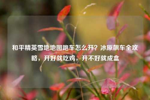 和平精英雪地地图跑车怎么开？冰原飙车全攻略，开好就吃鸡，开不好就成盒