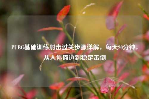 PUBG基础训练射击过关步骤详解，每天20分钟，从人体描边到稳定击倒