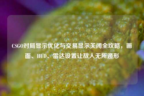 CSGO对局显示优化与交易显示关闭全攻略,画面、HUD、雷达设置让敌人无所遁形