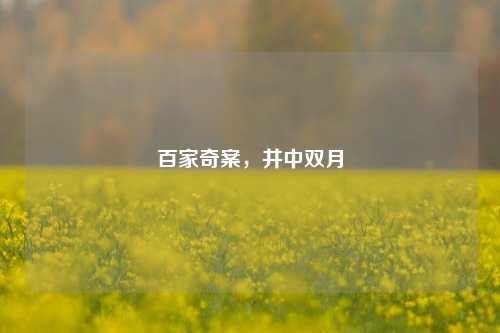 百家奇案，井中双月