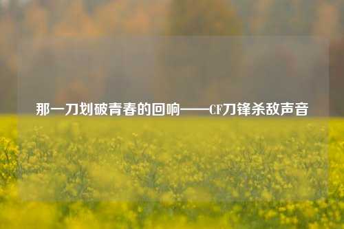 那一刀划破青春的回响——CF刀锋杀敌声音