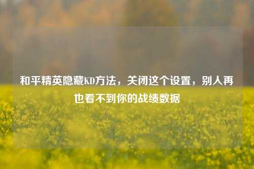 和平精英隐藏KD方法，关闭这个设置，别人再也看不到你的战绩数据