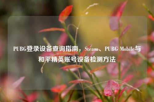PUBG登录设备查询指南，Steam、PUBG Mobile与和平精英账号设备检测方法