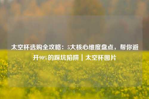 太空杯选购全攻略:5大核心维度盘点,帮你避开90%的踩坑陷阱|太空杯图片