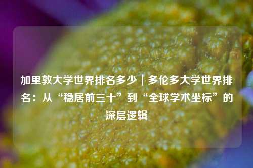 加里敦大学世界排名多少｜多伦多大学世界排名：从“稳居前三十”到“全球学术坐标”的深层逻辑