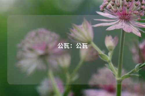 公瓦：公瓦