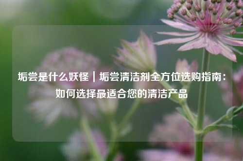 垢尝是什么妖怪｜垢尝清洁剂全方位选购指南：如何选择最适合您的清洁产品
