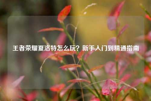 王者荣耀夏洛特怎么玩？新手入门到精通指南