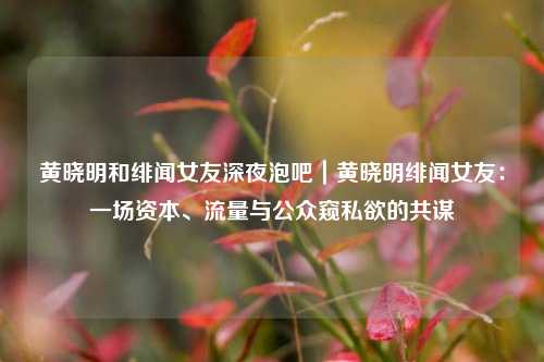 黄晓明和绯闻女友深夜泡吧|黄晓明绯闻女友:一场资本、流量与公众窥私欲的共谋