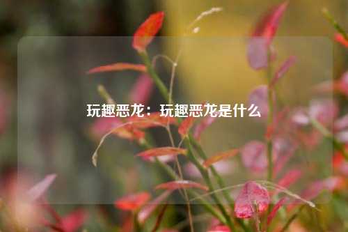 玩趣恶龙：玩趣恶龙是什么