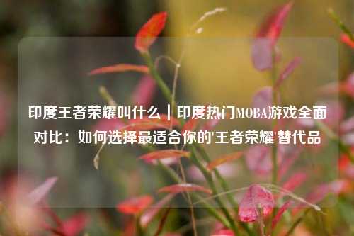 印度王者荣耀叫什么｜印度热门MOBA游戏全面对比：如何选择最适合你的'王者荣耀'替代品