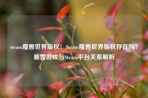 steam魔兽世界版权：Steam魔兽世界版权存在吗？暴雪游戏与Steam平台关系解析
