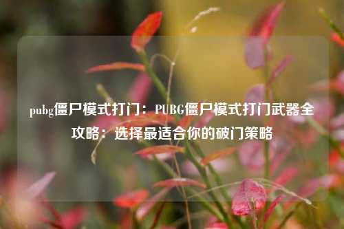 pubg僵尸模式打门：PUBG僵尸模式打门武器全攻略：选择最适合你的破门策略