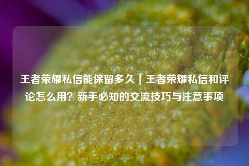 王者荣耀私信能保留多久｜王者荣耀私信和评论怎么用？新手必知的交流技巧与注意事项