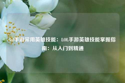 lol手游常用英雄技能：LOL手游英雄技能掌握指南：从入门到精通