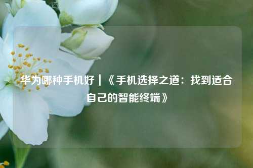 华为哪种手机好|《手机选择之道:找到适合自己的智能终端》