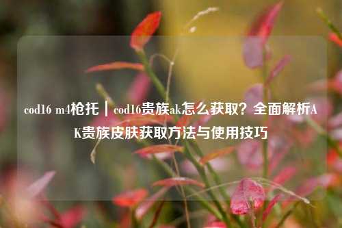 cod16 m4枪托｜cod16贵族ak怎么获取？全面解析AK贵族皮肤获取方法与使用技巧