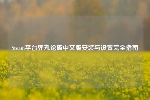 Steam平台弹丸论破中文版安装与设置完全指南