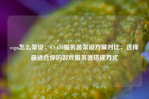csgo怎么架设：CS:GO服务器架设方案对比：选择最适合你的游戏服务器搭建方式