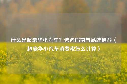 什么是超豪华小汽车？选购指南与品牌推荐（超豪华小汽车消费税怎么计算）