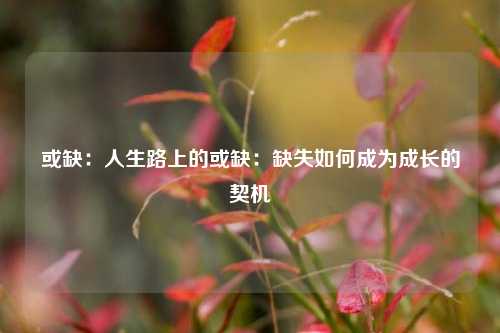 或缺：人生路上的或缺：缺失如何成为成长的契机