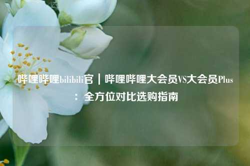哔哩哔哩bilibili官｜哔哩哔哩大会员VS大会员Plus：全方位对比选购指南