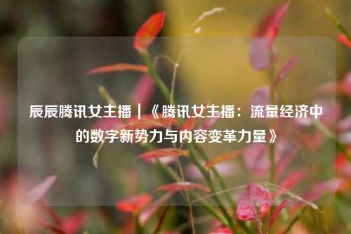 辰辰腾讯女主播｜《腾讯女主播：流量经济中的数字新势力与内容变革力量》