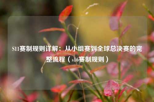 S11赛制规则详解：从小组赛到全球总决赛的完整流程（s16赛制规则）