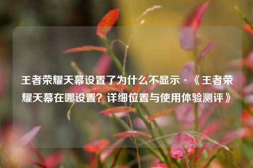 王者荣耀天幕设置了为什么不显示·《王者荣耀天幕在哪设置？详细位置与使用体验测评》