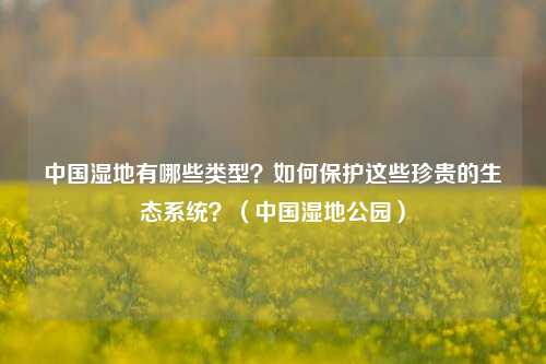 中国湿地有哪些类型？如何保护这些珍贵的生态系统？（中国湿地公园）
