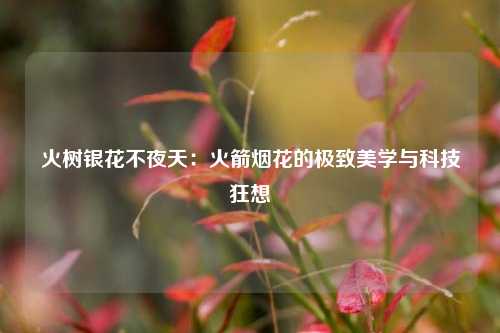 火树银花不夜天：火箭烟花的极致美学与科技狂想
