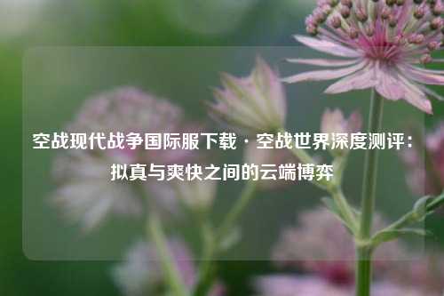 空战现代战争国际服下载·空战世界深度测评：拟真与爽快之间的云端博弈