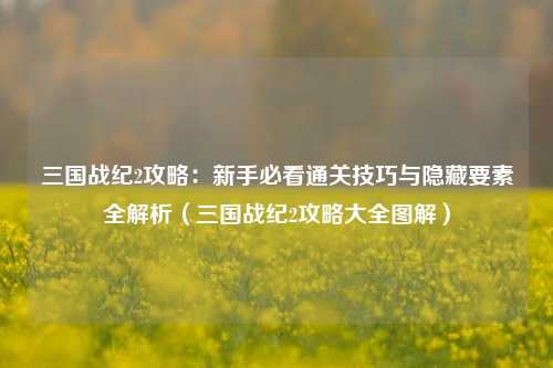 三国战纪2攻略：新手必看通关技巧与隐藏要素全解析（三国战纪2攻略大全图解）