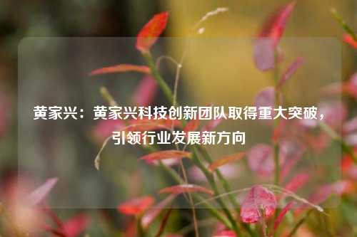 黄家兴：黄家兴科技创新团队取得重大突破，引领行业发展新方向