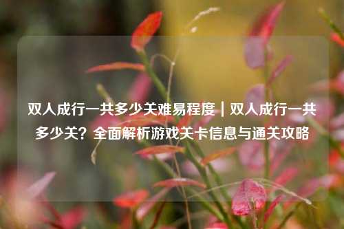 双人成行一共多少关难易程度｜双人成行一共多少关？全面解析游戏关卡信息与通关攻略