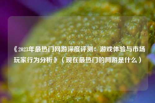 《2023年最热门网游深度评测：游戏体验与市场玩家行为分析》（现在最热门的网游是什么）